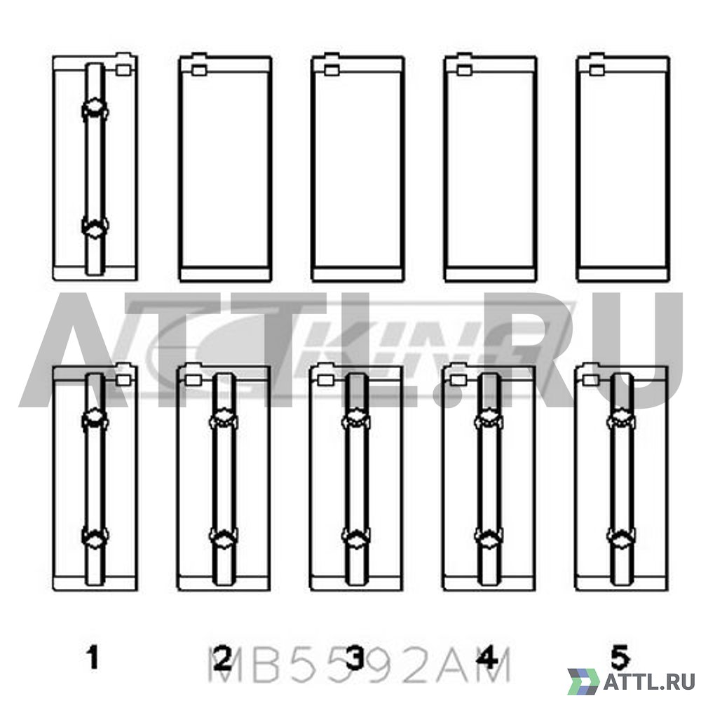 KING MB5592AM Вкладыши коренные STD