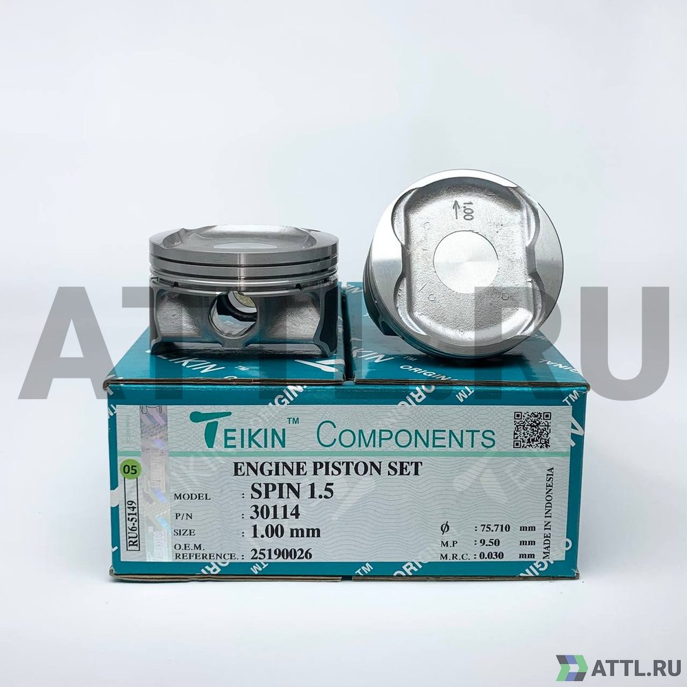 TEIKIN 30114 100 Комплект поршней 1.5L