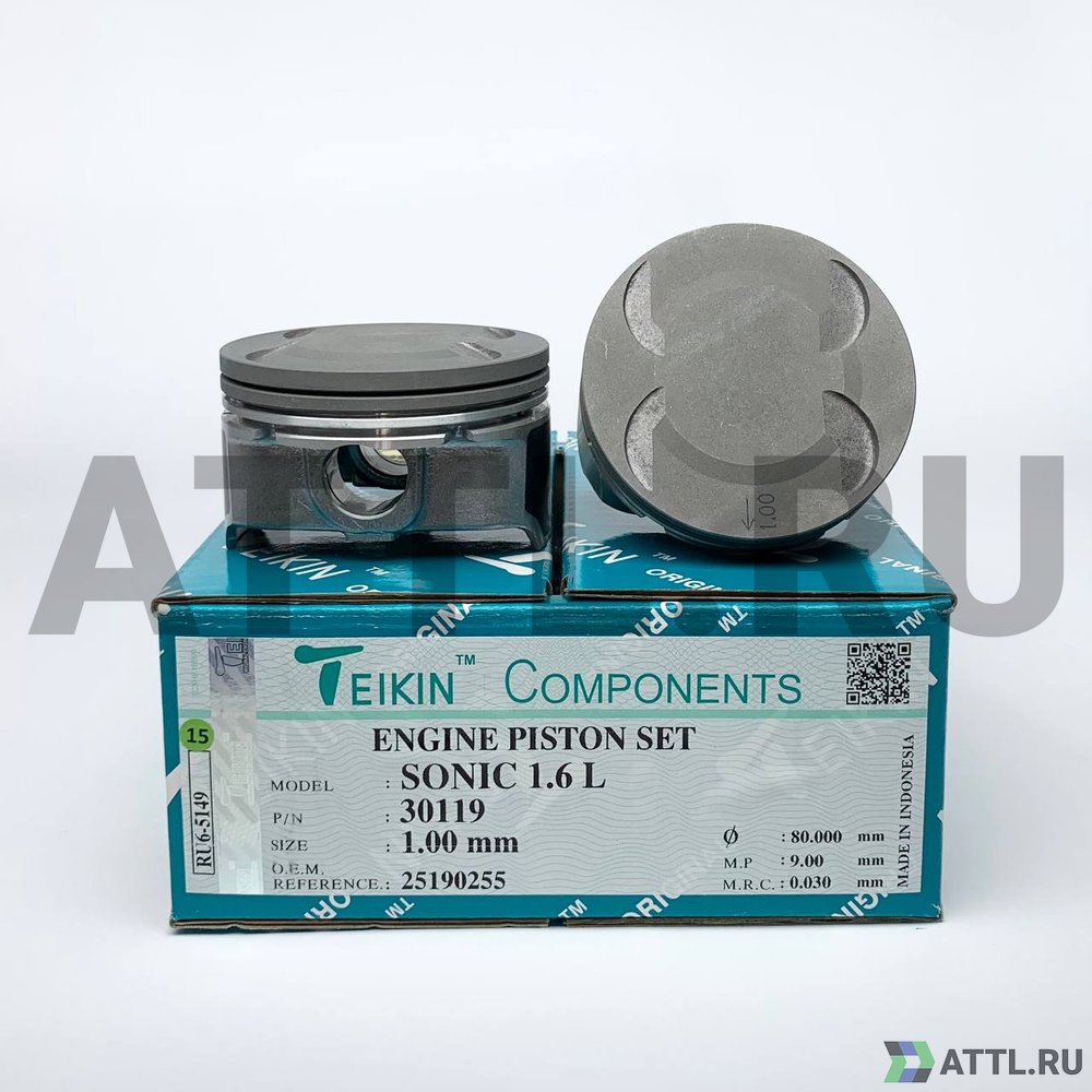 TEIKIN 30119 100 Комплект поршней 1.6L